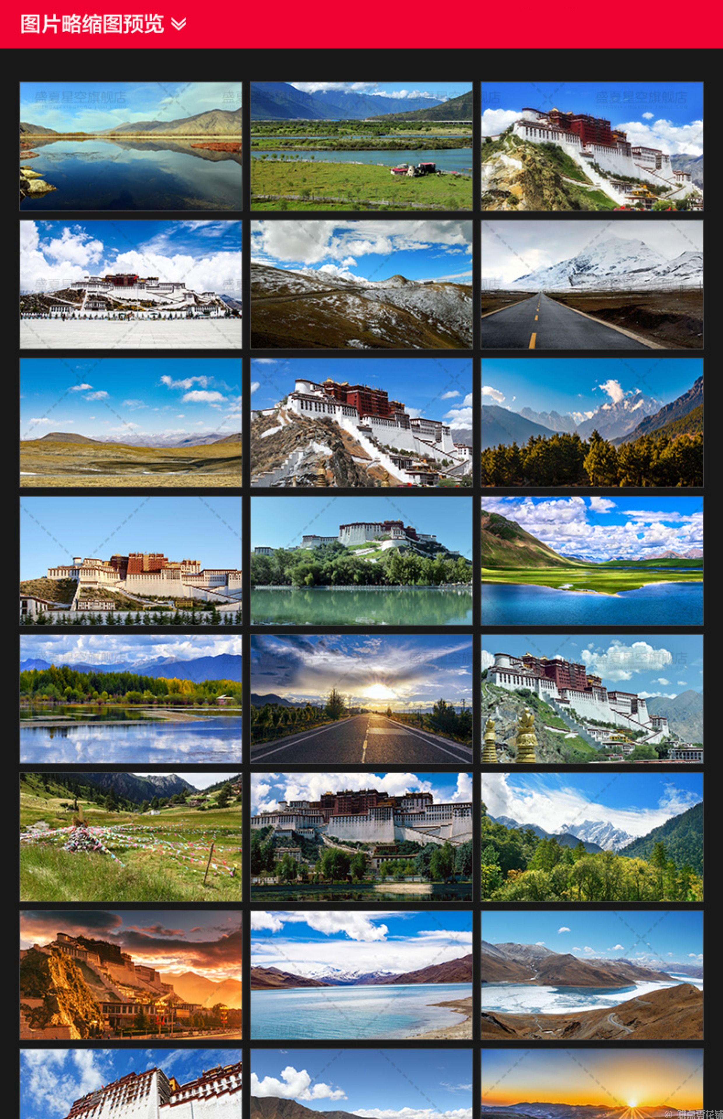 高清西藏风景布达拉宫雪山湖泊蓝天白云草原实拍背景设计图片素材(图3)