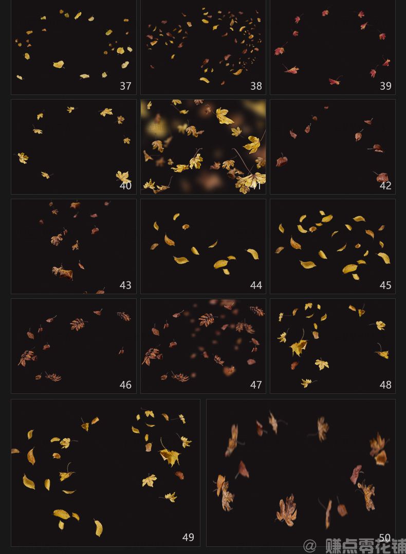 秋天树叶飘落秋季枫叶红叶黄叶子效果透明背景设计PNG图片素材(图6)
