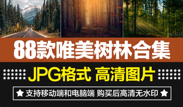 唯美树林小路森林风景阳光穿透绿叶红叶黄叶壁纸直播背景图片素材
