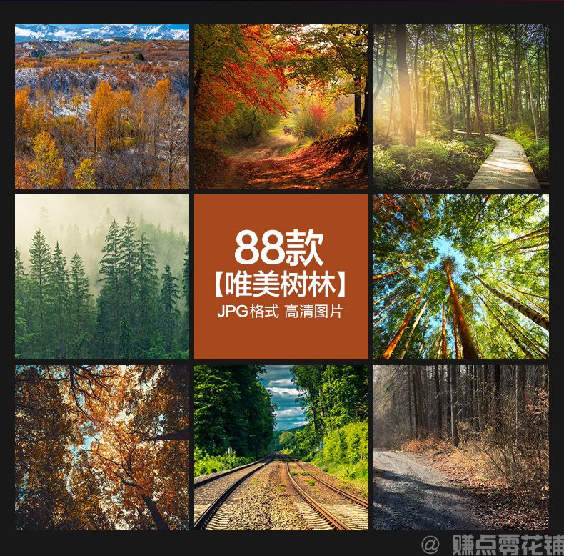 唯美树林小路森林风景阳光穿透绿叶红叶黄叶壁纸直播背景图片素材(图1)