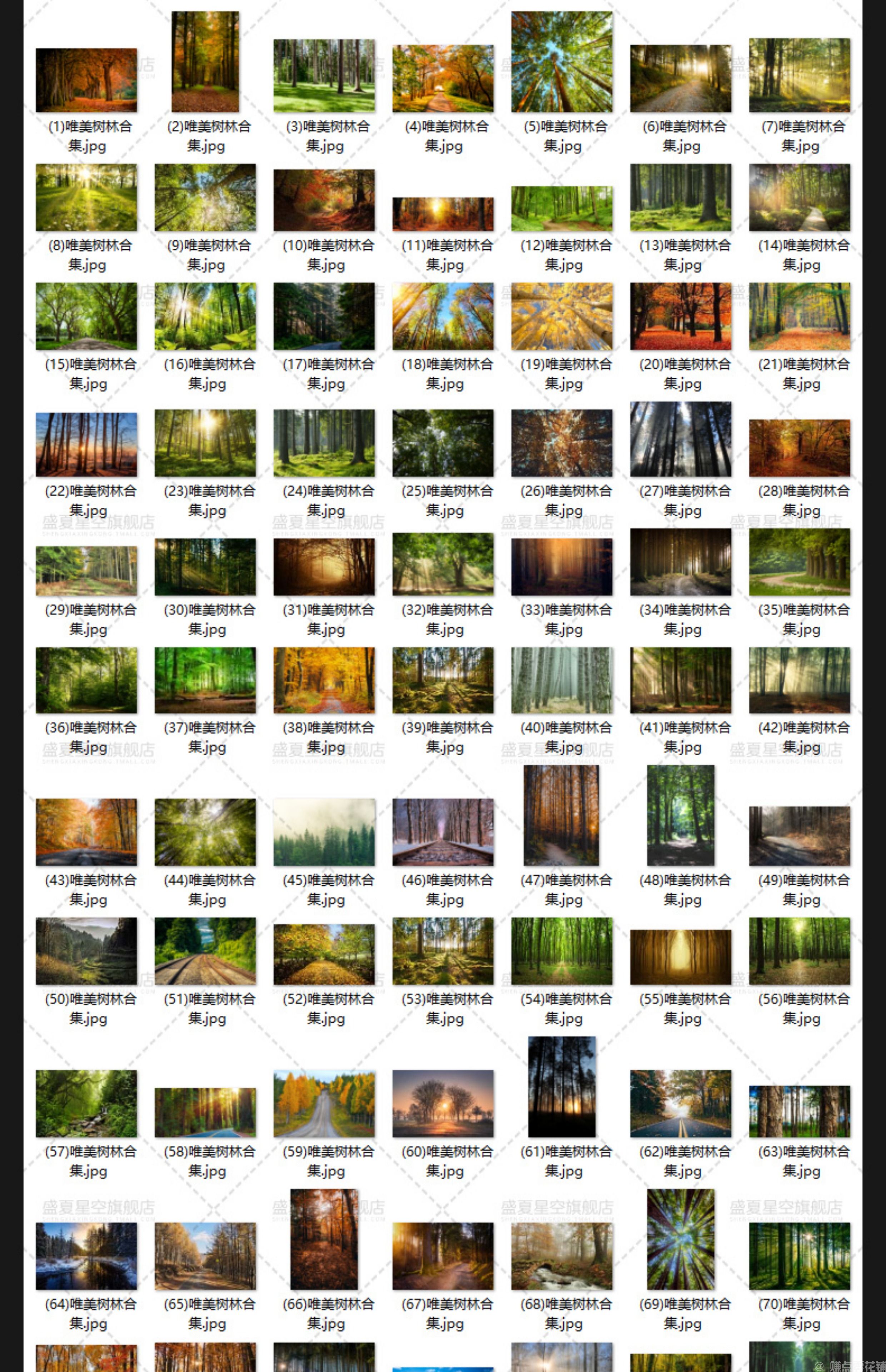 唯美树林小路森林风景阳光穿透绿叶红叶黄叶壁纸直播背景图片素材(图8)