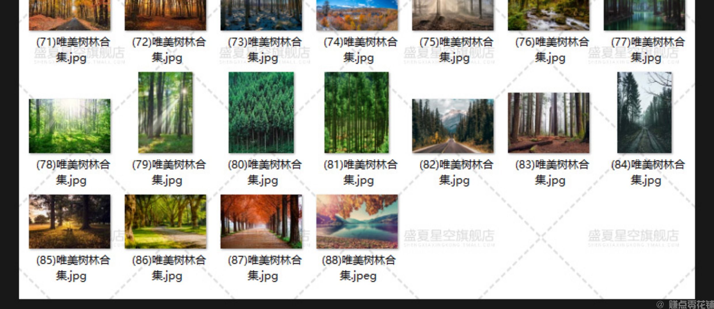 唯美树林小路森林风景阳光穿透绿叶红叶黄叶壁纸直播背景图片素材(图9)