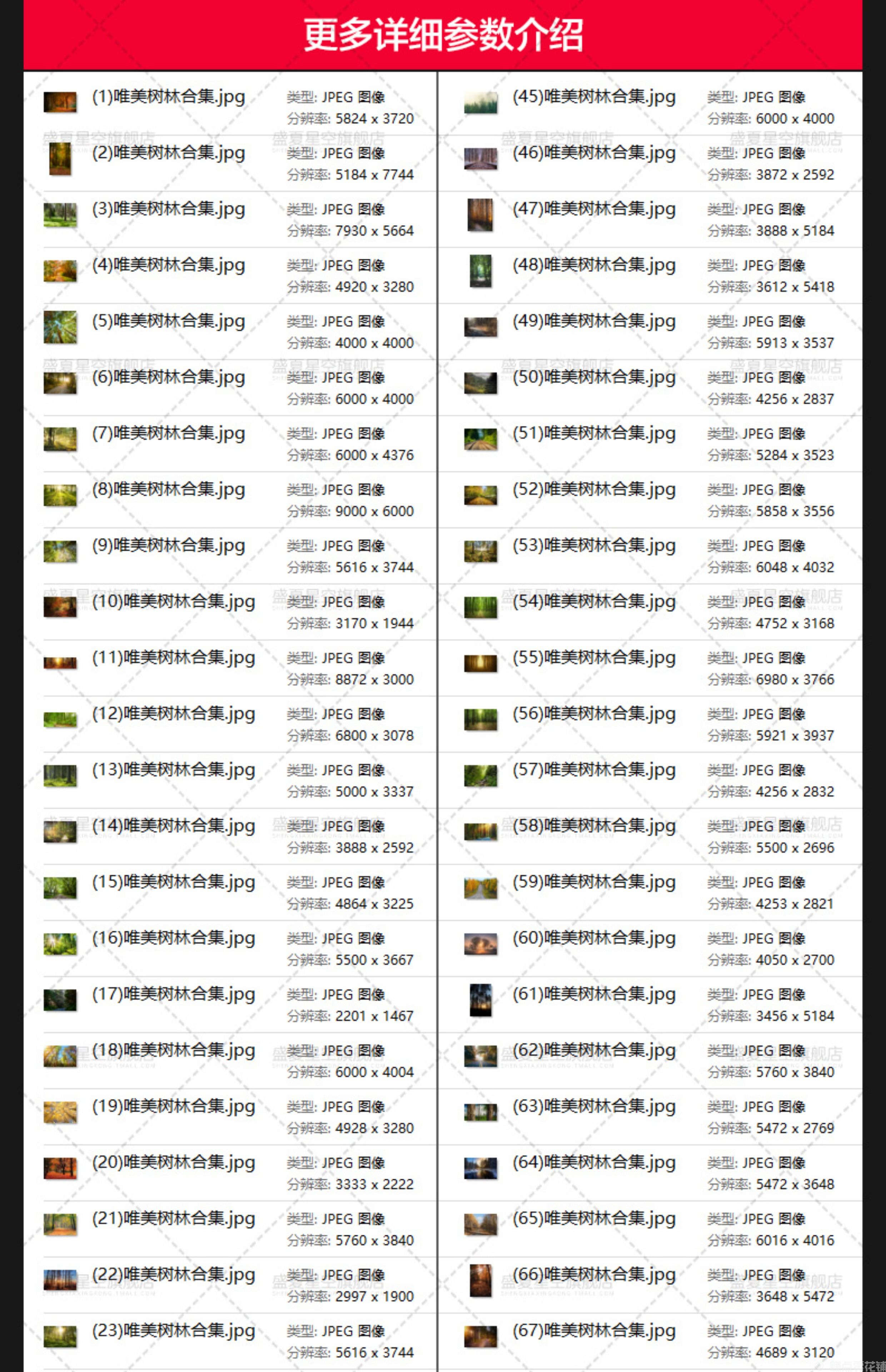 唯美树林小路森林风景阳光穿透绿叶红叶黄叶壁纸直播背景图片素材(图10)