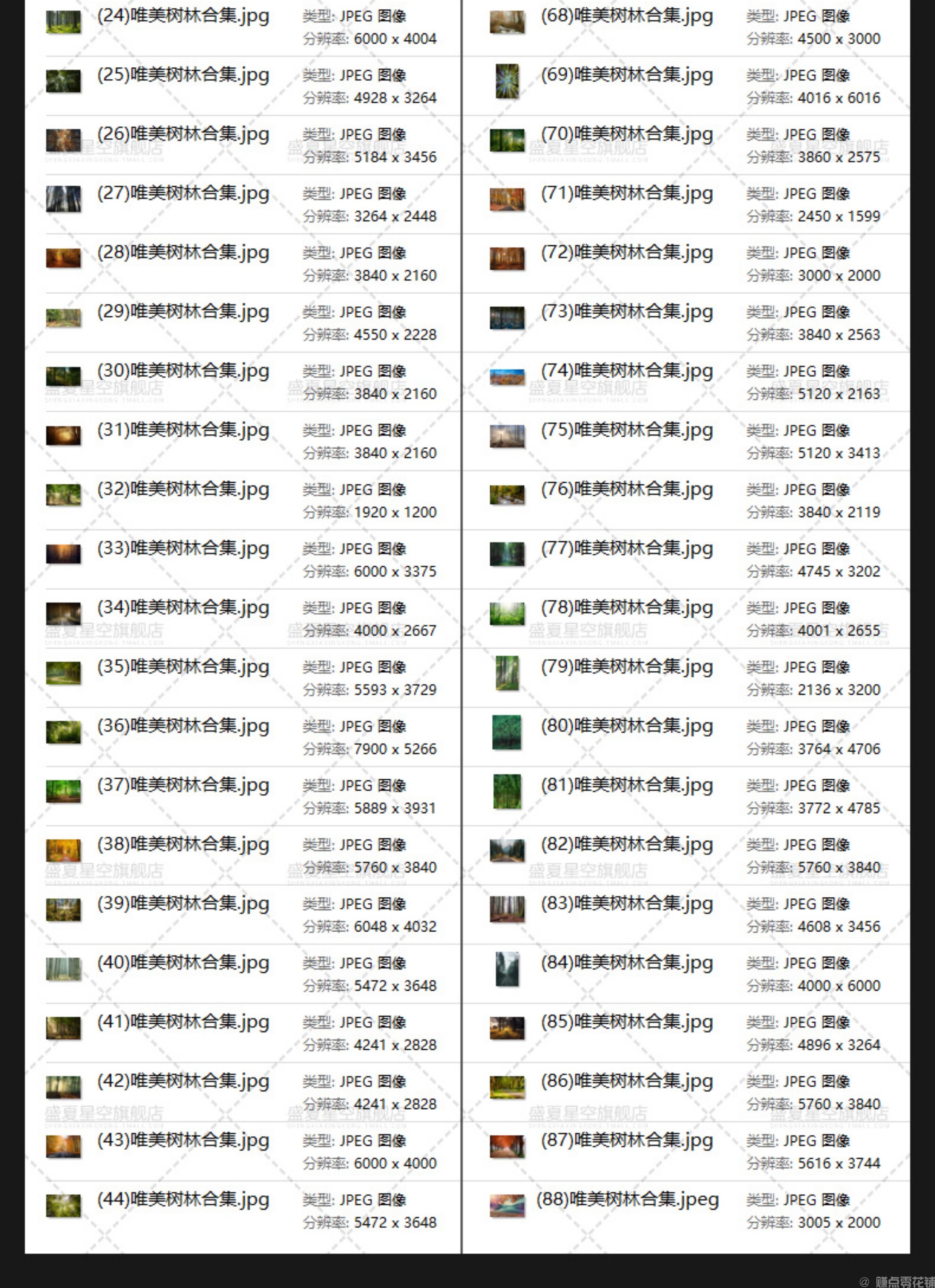 唯美树林小路森林风景阳光穿透绿叶红叶黄叶壁纸直播背景图片素材(图11)