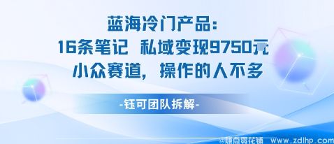 闲鱼引流-蓝海项目16条笔记私域变现9750元实战案例展示