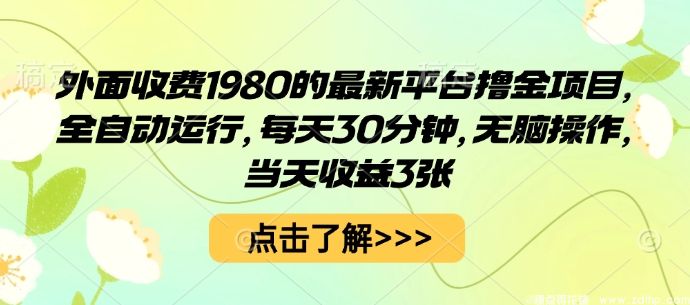 (图1) 闲鱼引流-全自动撸金项目实操界面展示,高效变现每日收益突破3000元