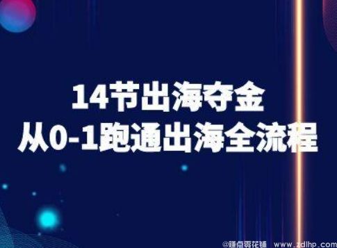(图1) 闲鱼引流-14节出海夺金从0-1跑通出海全流程-跨境电商教程