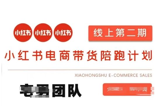 闲鱼引流-小红书电商带货课2期，月利润20个的小红书电商的有货源，无货源，虚拟产品，付费投流等整套玩法