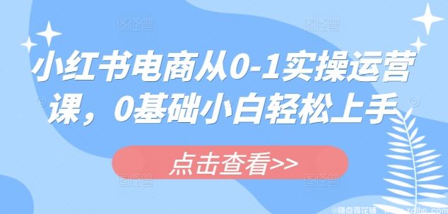 闲鱼引流-小红书电商从0-1实操运营课，0基础小白轻松上手