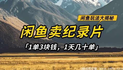 闲鱼引流-闲鱼卖纪录片1单3块钱，1天几十单，项目稳定有潜力