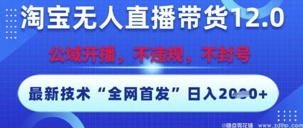 闲鱼引流-淘宝无人直播带货12.0，最新技术，不封号，不违规，操作简单，开播爆单，日入多张【揭秘】
