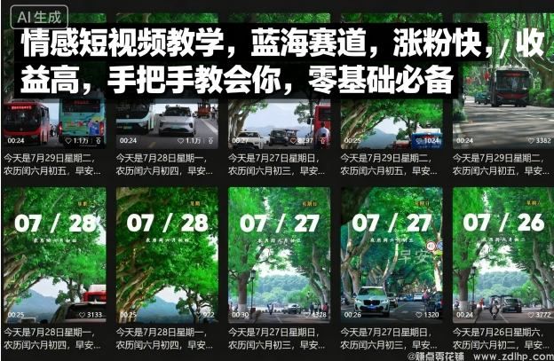 (图1) 闲鱼引流-情感类短视频教学,蓝海赛道解析,快速涨粉技巧,零基础也能做