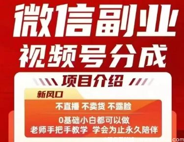 闲鱼引流-微信视频号<a href="https://www.zdlhp.com" class="seo-link">副业项目</a>详解，无需剪辑即可轻松变现