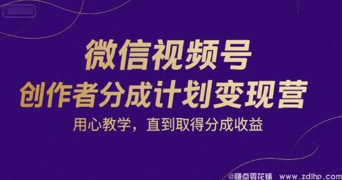 闲鱼引流-微信视频号创作者变现训练营，系统教学助力内容变现