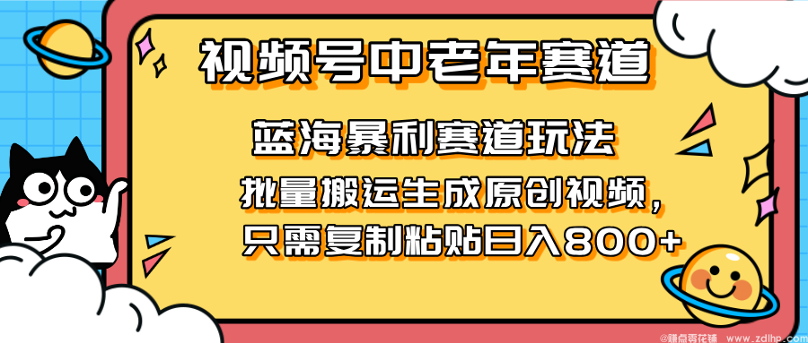 闲鱼引流-银发族短视频变现项目介绍示意图