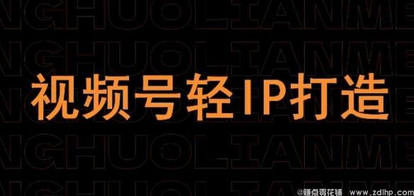 闲鱼引流-视频号线上课程，视频号轻IP打造