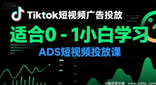 (图1) 闲鱼引流-从零掌握<a href="https://www.zdlhp.com/dianshang/" class="seo-link">TikTok</a>广告投放核心技巧与实战方法