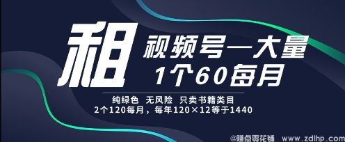 (图1) 闲鱼引流-视频号租赁项目解析:稳定收益,无风险操作