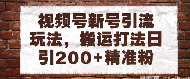 (图1) 闲鱼引流-视频号新号引流实战技巧:日引200+精准粉丝,轻松打造矩阵流量池