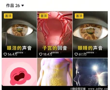 (图2) 闲鱼引流-3D动画短视频项目课程内容展示,适合初学者的视频变现路径