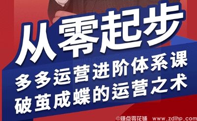 闲鱼引流-拼多多运营进阶系统课，从零起步，多多运营进阶体系课，破茧成蝶的运营之术（更新9月）