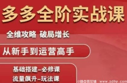(图1) 闲鱼引流-拼多多全阶实战课程,全维攻略,破局增长,从新手到运营高手