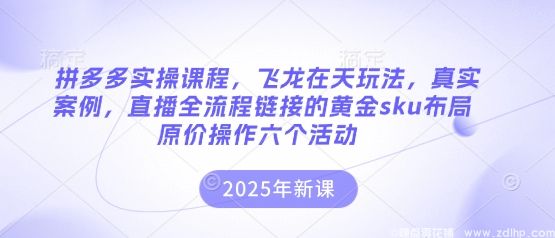 闲鱼引流-拼多多实操课程，飞龙在天玩法，真实案例，直播全流程链接的黄金sku布局原价操作六个活动
