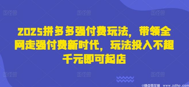 闲鱼引流-2025拼多多强付费玩法，带领全网走强付费新时代，玩法投入不超千元即可起店