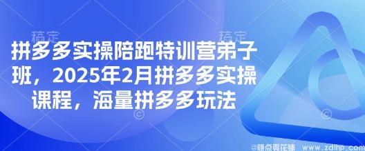 闲鱼引流-拼多多实操陪跑特训营弟子班，2025年2月拼多多实操课程，海量拼多多玩法