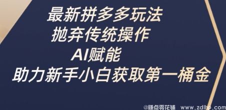 闲鱼引流-最新拼多多玩法，抛弃传统操作，AI赋能，助力新手小白获取第一桶金