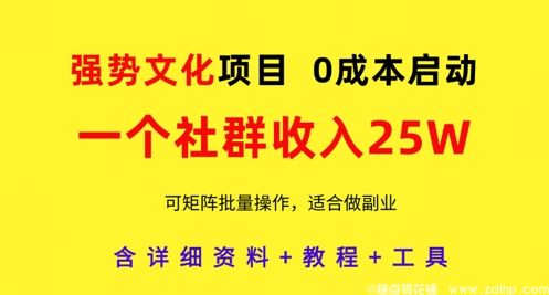 闲鱼引流-强势文化项目，一个社群收入25个W，0成本启动，可矩阵批量操作，原创详细实操教程