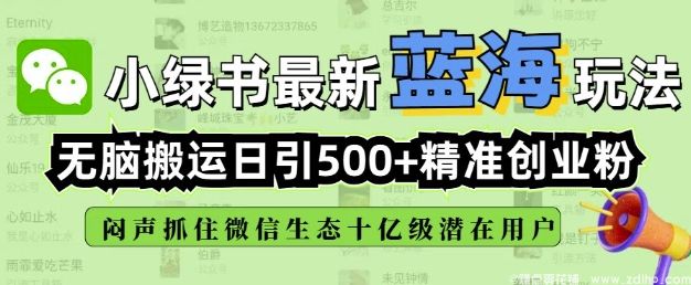 (图1) 闲鱼引流-小绿书引流实战教学,日引500+精准创业粉