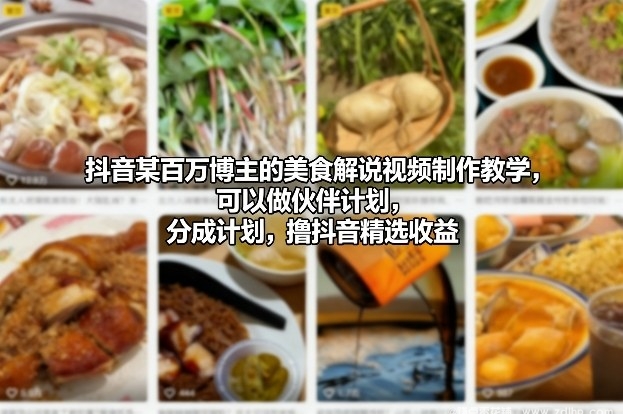 闲鱼引流-抖音某百万博主的美食解说视频制作教学，可以做伙伴计划，分成计划，撸抖音精选收益（更新）
