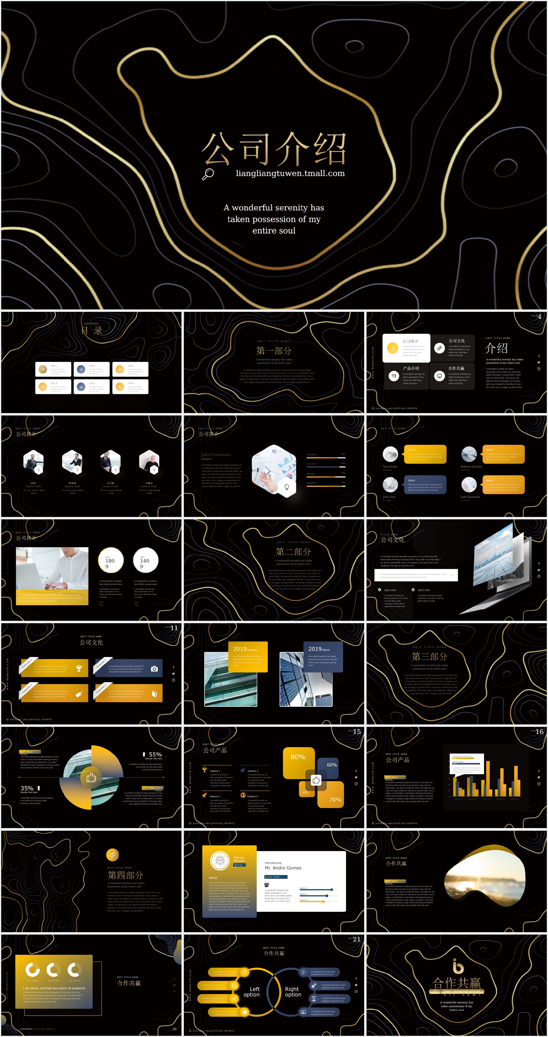 公司介绍宣传PPT模板49