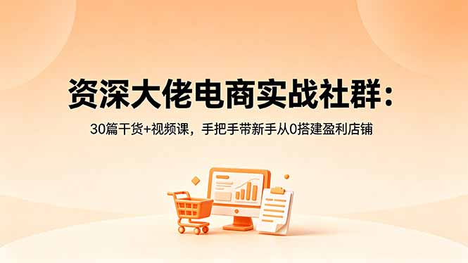 0成本入门！3步搞定电商店铺搭建与精准获客，新手也能快速变现