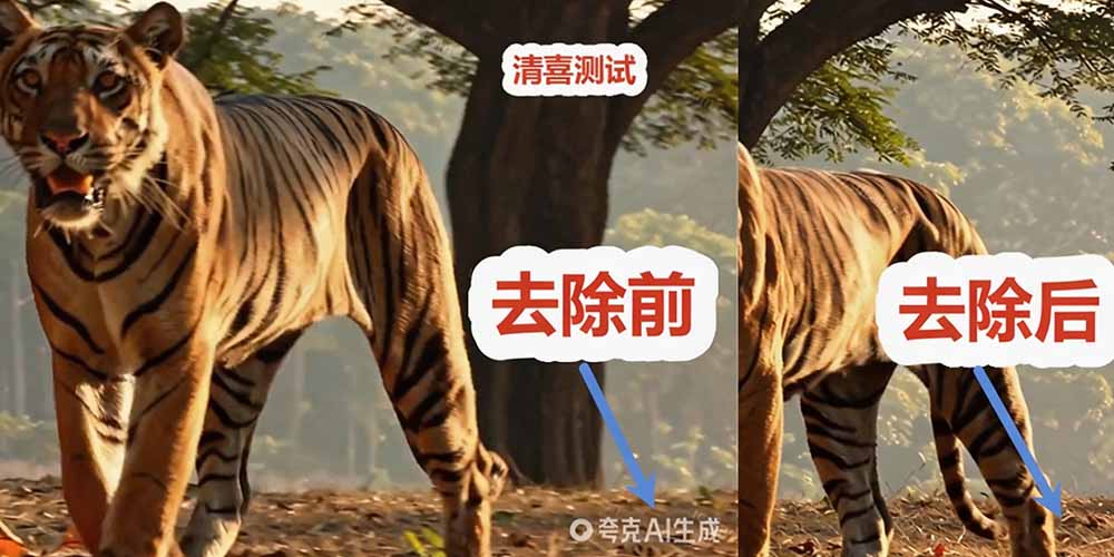 闲鱼引流-千问水印清除工具操作界面截图，展示拖拽区域、参数调节滑块与实时预览窗格