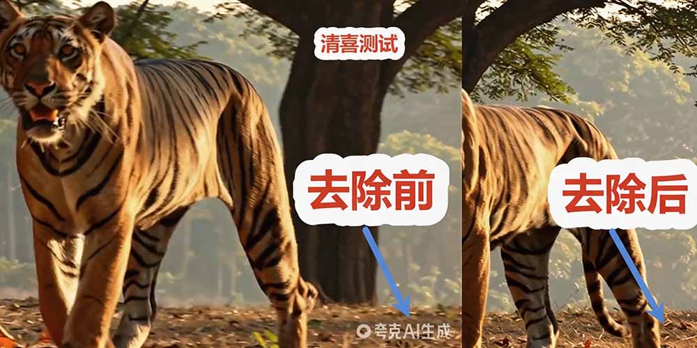 闲鱼引流-Chrome扩展安装流程第一步：开发者模式开启界面特写，标注关键开关位置